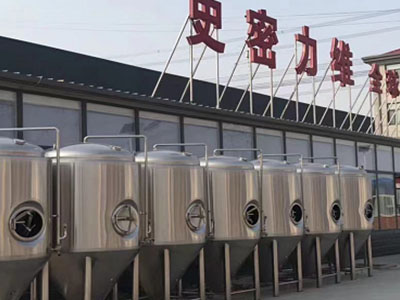 汝城精酿啤酒设备厂—如何判断精酿啤酒设备的密封件需要更换？